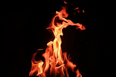Building fire leads cops to illegal abalone processing plant