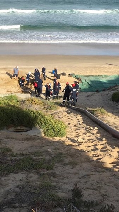 Beaches closed as a precautionary measure to avert ecological disaster