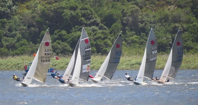 Knysna's sailing champs