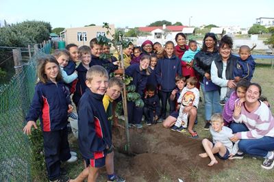 Stilbaai Kindersentrum plant 'n boom