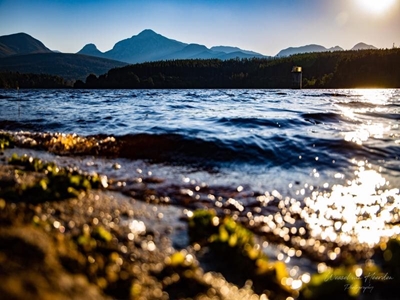 Garden Route Dam level update