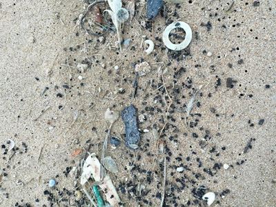 Concern over oil washing ashore