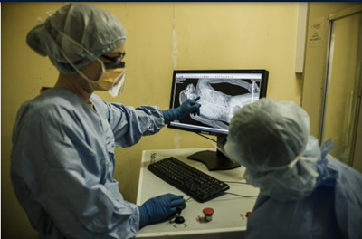 Tattoos, DNA the clues in battle to identify SA’s dead