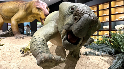 Fossil centre of international importance to open in Graaff-Reinet