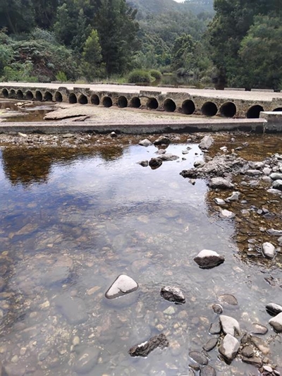 Knysna water crisis deepens as river pumps shut down