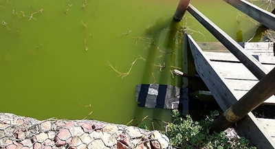 Hartenbosrivier stadig doodgemaak