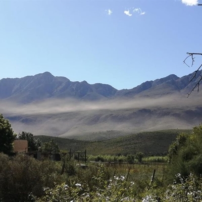 Springkane trek langs Swartberge