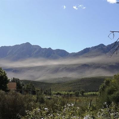 Springkane trek langs Swartberge