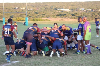 Seagulls moet momentum behou