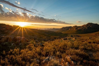 World Environment Day: Ten ways to recycle your Rooibos and help the planet