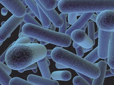 People urged to rinse food to minimise spread of listeria