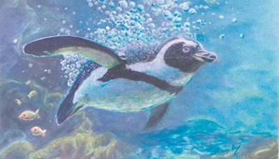 Plett Arts Festival returns
