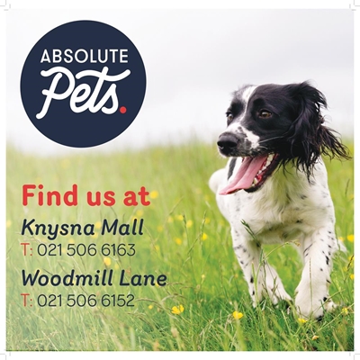 Absolute Pets in Knysna