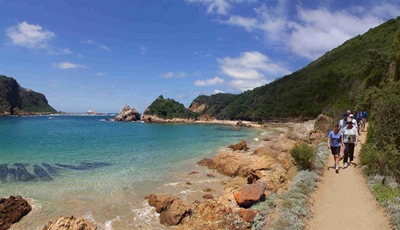 Featherbed eco-tours resume 