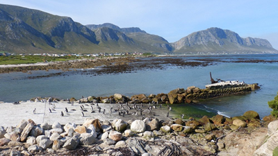 Marine Month:  The focus on protected marine resources 