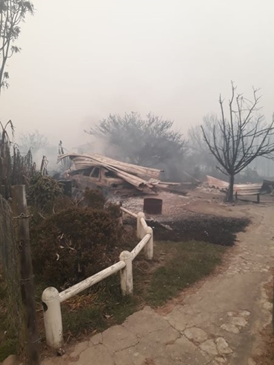 SA Sanparks grieve over lives lost