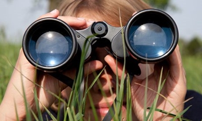 Grass greener on the other side?