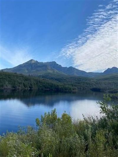 Garden Route Dam level update