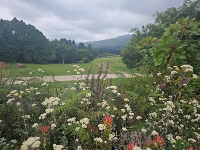 Has the Garden Route reached a saturation point for development?