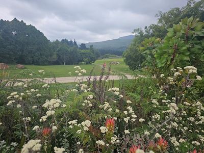 Has the Garden Route reached a saturation point for development?