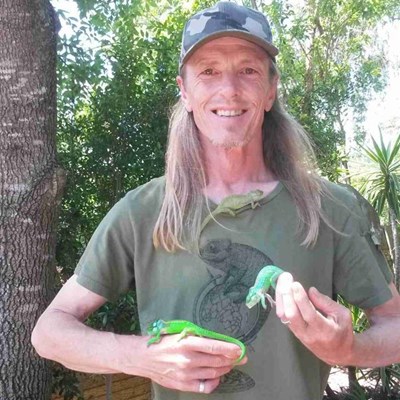 Local guardian of the Knysna Dwarf Chameleon