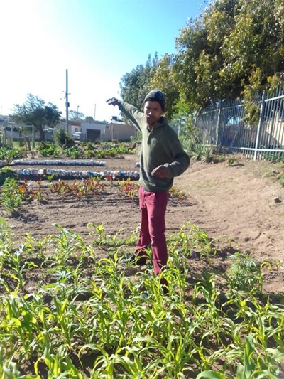 George Municipality's food garden project on track