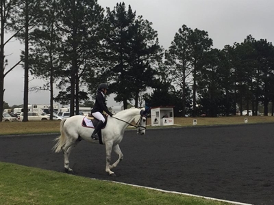 Riding club's Spring Festival coming to a close