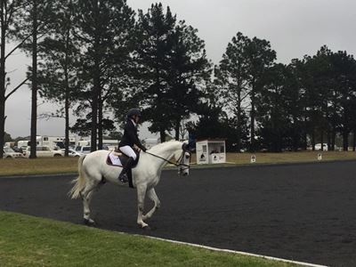 Riding club's Spring Festival coming to a close