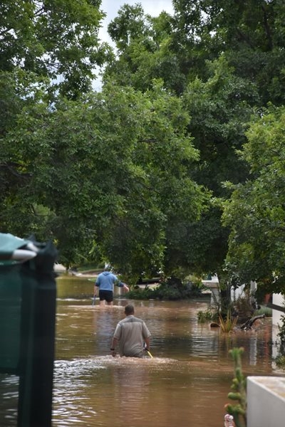 Reën bring hoop vir boere