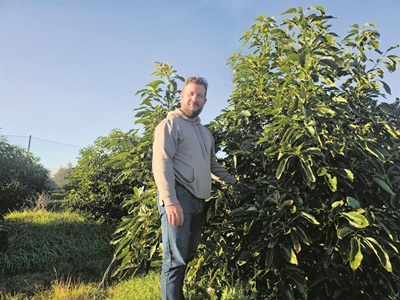 George farmer Mario Lombard among top 8 in Agri Awards