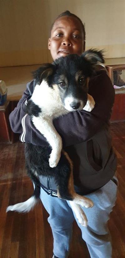 108 pets sterilised in Noupoort
