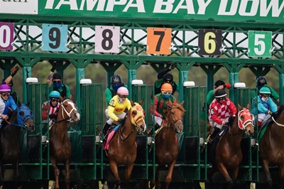 Sprinters or broodmares — bring ’em on, says Kommetdieding