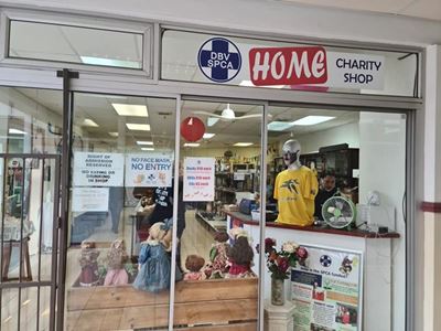 Best bargains at SPCA charity shops