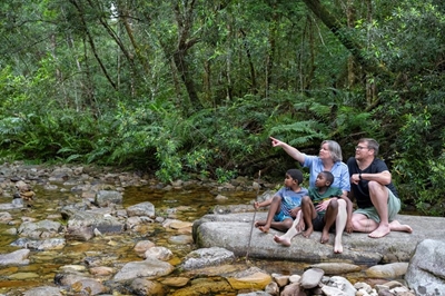 Knysna still a haven of natural beauty and vibrant tourism