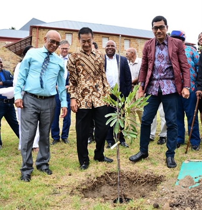 Tree planted to symbolize agreement