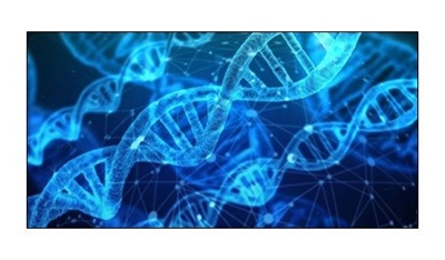 DNA testing to replace fingerprints 
