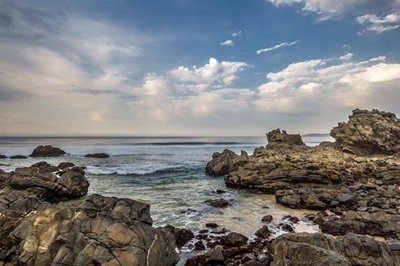 Plett Blue Flags fly high once again