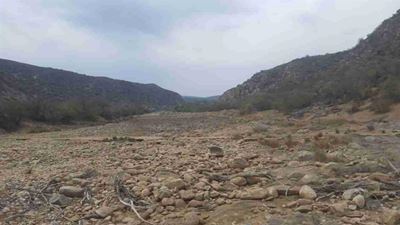 Environmental efforts for Garden Route