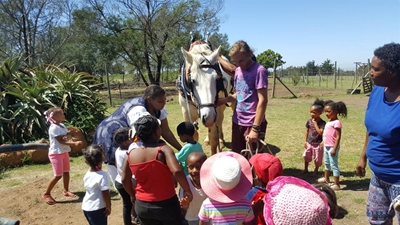 Tiny tots meet giant horses
