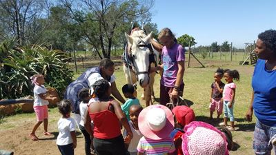 Tiny tots meet giant horses