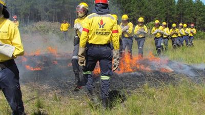 Update on fire at Haelkraal