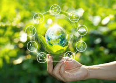 Private sector rallied to invest in green economy