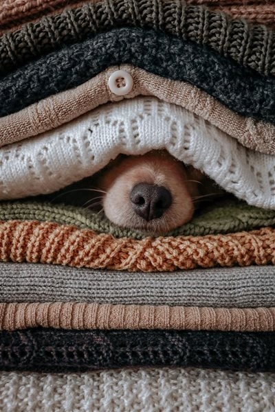 Energy-wise ways to get ready for winter