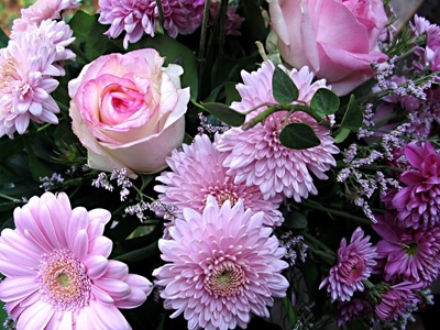 Kom geniet blommedemo op 7 Mei