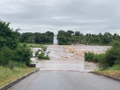 Kruger Park roads flooded as Eloise brings heavy rain to SA’s north