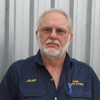 Plant bome vir die houtbedryf