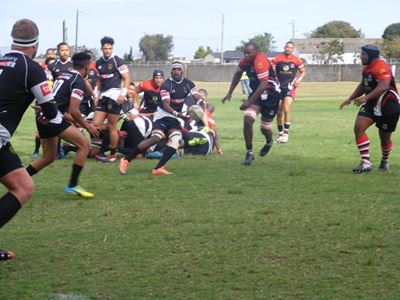 Heibi buig die knie voor Crusaders 