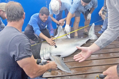 Oceans Research helps in study