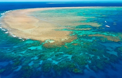 Intervention 'could buy 20 years' for declining Great Barrier Reef