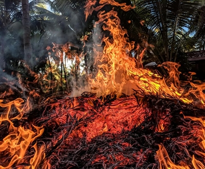 Lightning strikes ignite two wildfires near George